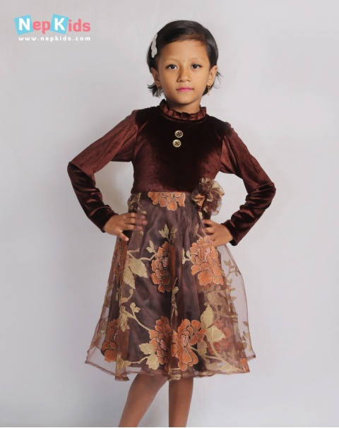 Shimmery Elegant Party Dress For Special Occasion - One piece Dress For Girls  