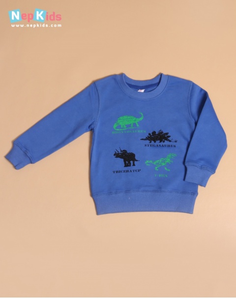 Blue Dinosaur Sweatshirt - For Boys
