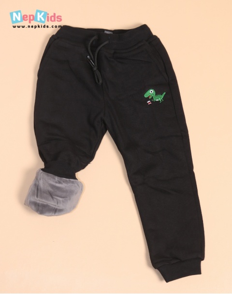 Green Dino Inner Velvet Winter Trouser - For Kids